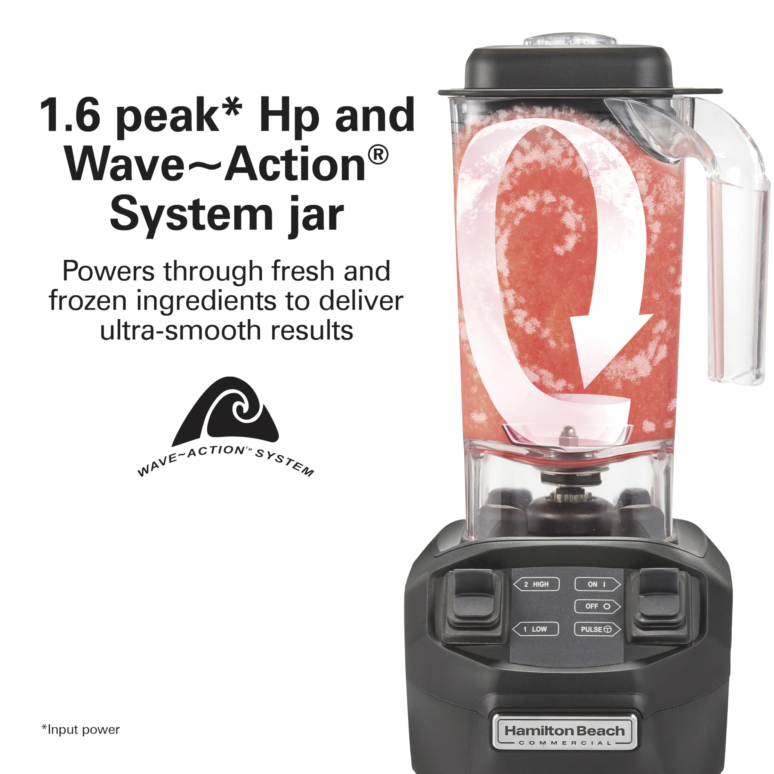 Hamilton Beach Commercial HBB255 Rio Bar Blender - 1.6 HP High Performance, 48oz BPA-Free Pitcher, NSF Certified for Restaurants & Bars - Perfect for Smoothies, Cocktails & Frozen Drinks