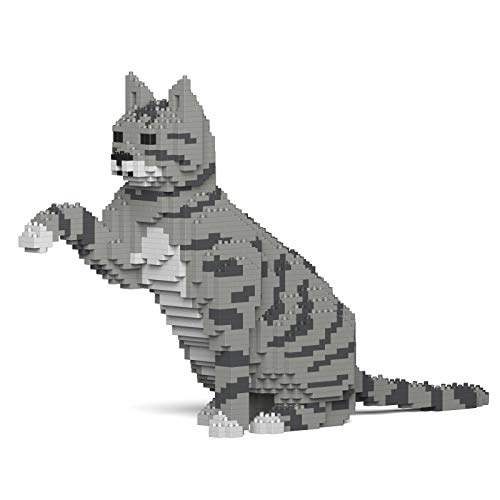 Light Grey Tabby