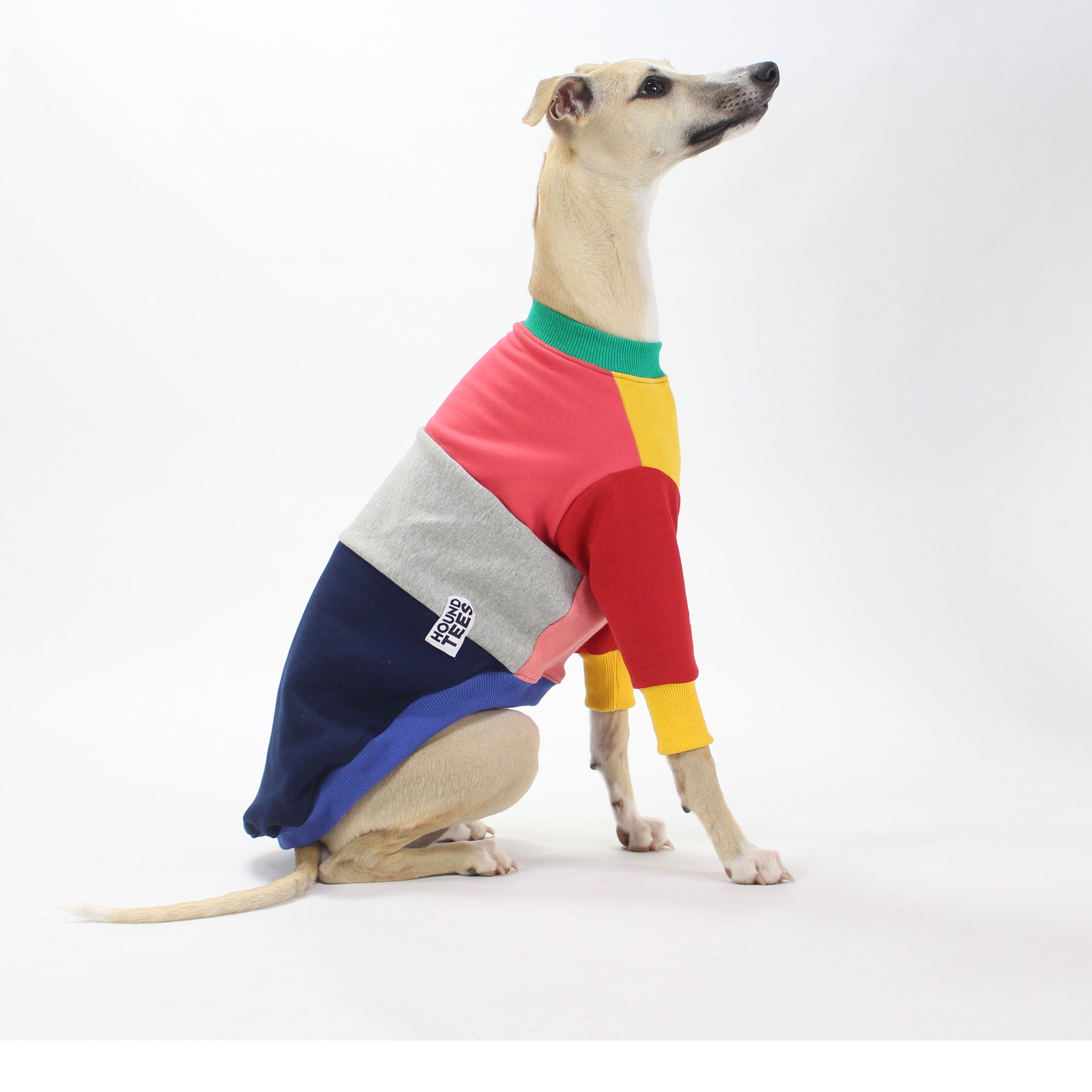Frankie Jester Whippet Sweater for Dogs - Cozy Knit Winter Dog Clothes - Perfect for Small to Medium Breeds - Keep Your Pet Warm in Cold Weather & Outdoor Adventures