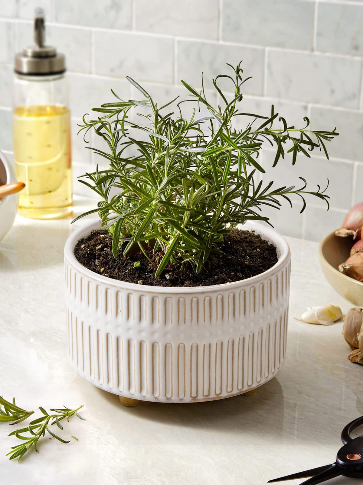 LE TAUCI 6.5+8 Inch Ceramic Succulent Plant Pots with Drainage Hole - Modern Round Decorative Flower Pots Set of 2, Reactive Glaze White - Perfect for Indoor Plants, Home Decor, Office Desk & Gift Ideas