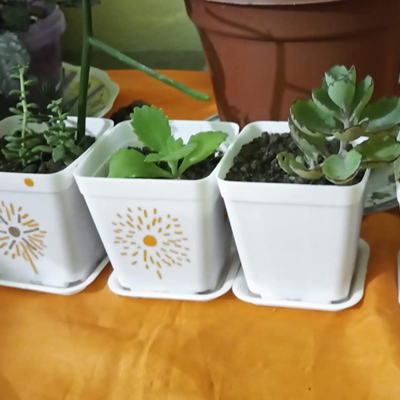 JOIKIT 120 Pack 3 Inch White Square Nursery Pots - Plastic Plant Containers with Drainage Holes for Seedlings, Transplanting | Indoor Outdoor Gardening, Office Decor, Balcony Plants, Home & Garden Use