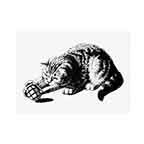 Cat Grenade