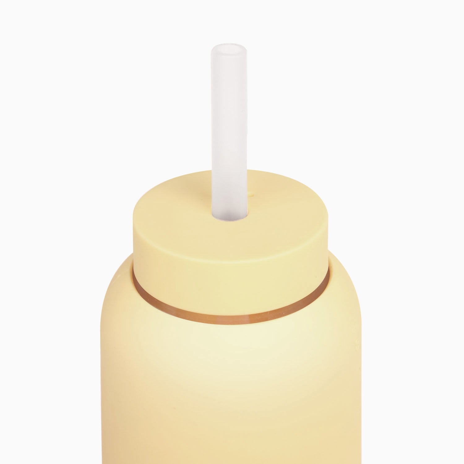Premium Stainless Steel Reusable Straw with Silicone Cap - Eco-Friendly Drinking Straw for Smoothies, Iced Coffee & Cocktails - Perfect for Home, Office & Travel Use
