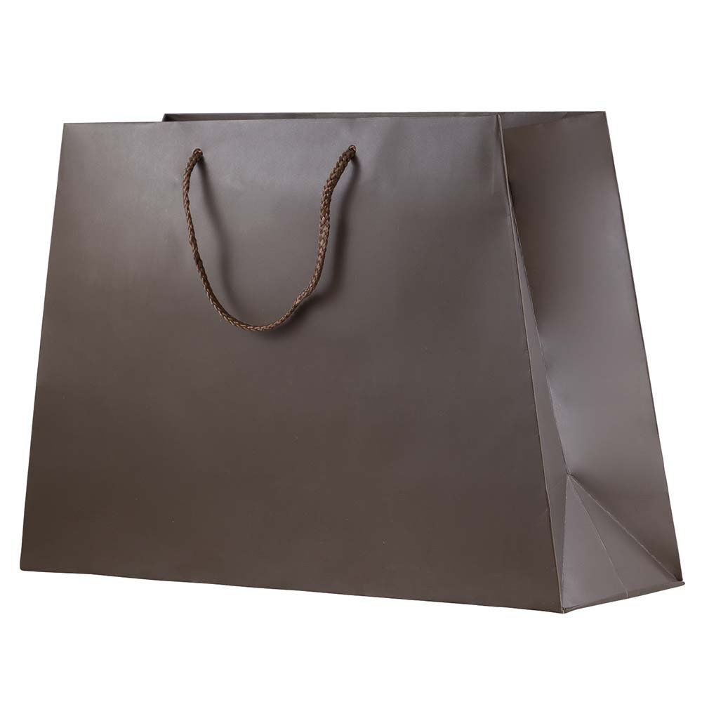 JAM Paper Matte Trapezoid Gift Bags with Rope Handles - 12