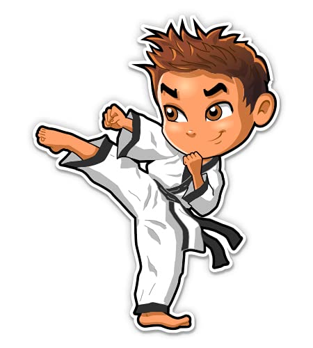 Karate Boy 3 Inch Vinyl Sticker - Waterproof Decal for Car, Laptop, Water Bottle, Phone - Perfect for Martial Arts Fans, Gym Gear & Personalizing Devices