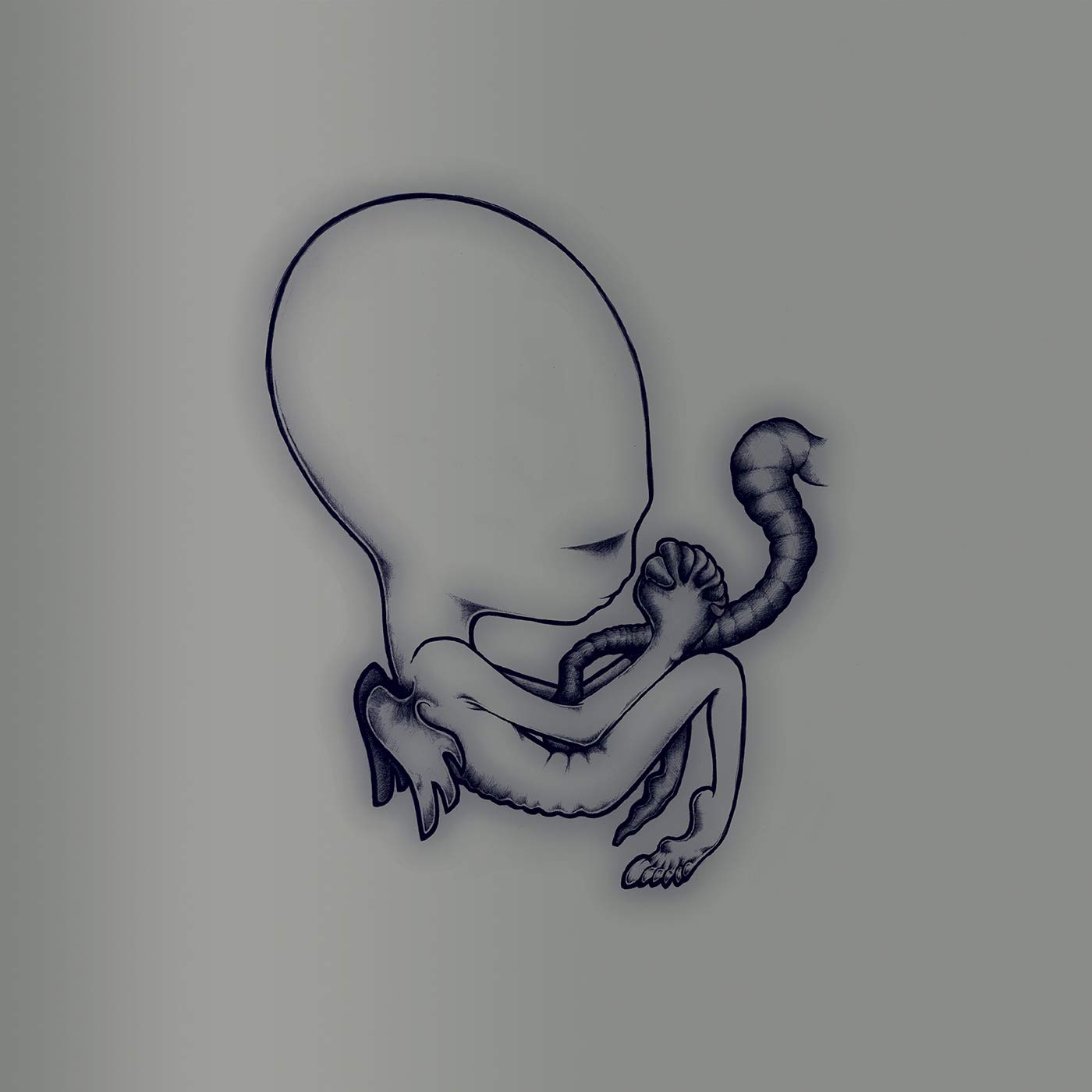 Ágætis byrjun - A Good Beginning | Sigur Rós Vinyl Record | Perfect for Relaxation & Meditation Music
