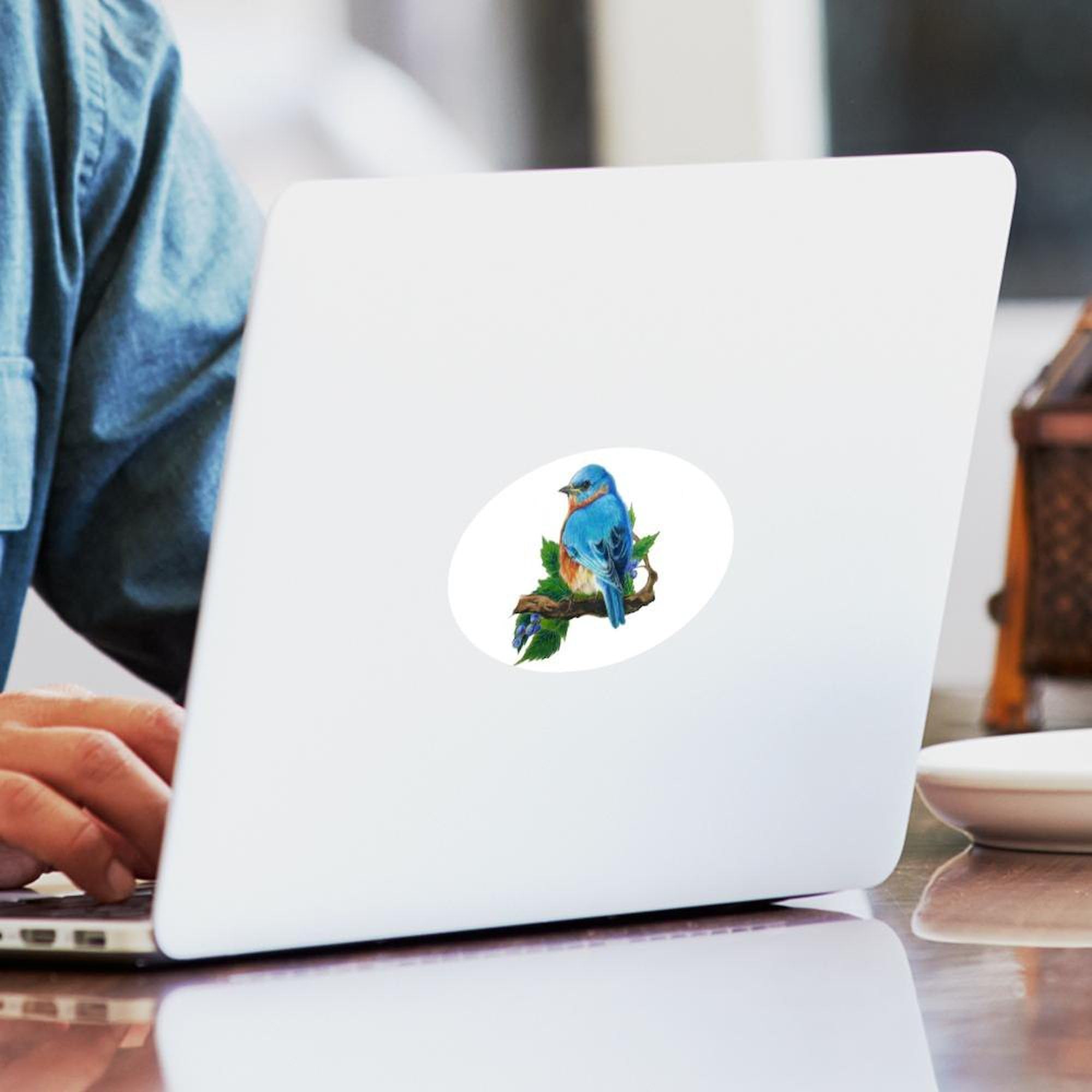 Bluebird Oval Car Bumper Sticker - Durable Decal for Cars & Laptops