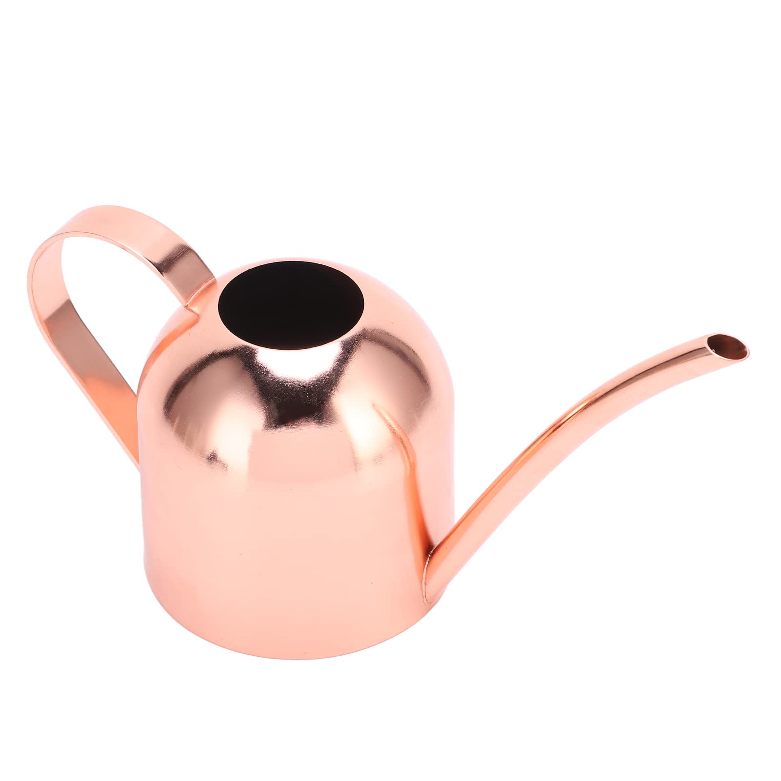Premium Stainless Steel Plant Watering Can - 450ML Rustproof Garden Watering Pot for Indoor & Outdoor Plants - Perfect for Houseplants, Flowers, and Small Gardens