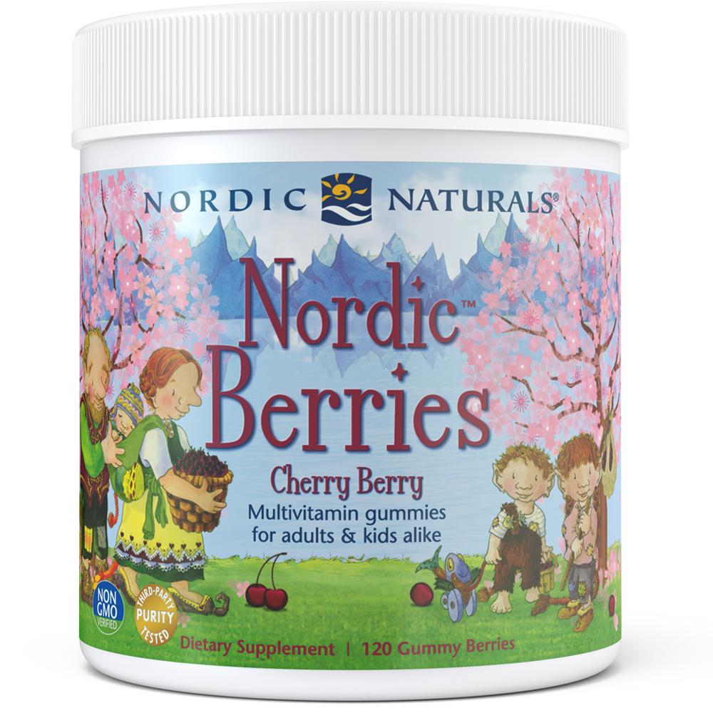 Nor Berries 120 Count - Premium Dried Berries Snack Pack for Healthy Eating, On-the-Go Nutrition & Baking