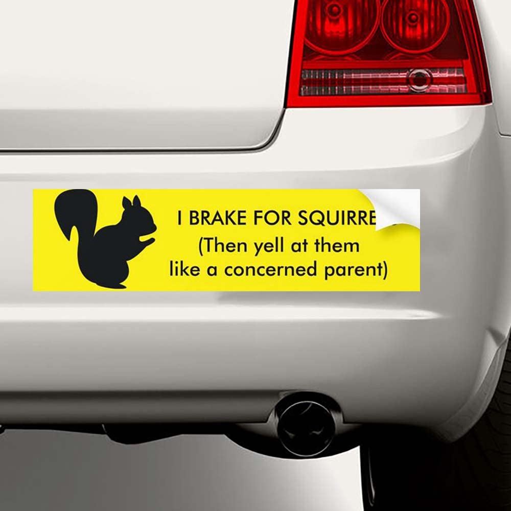 Funny Car Stickers & Decals - 'I Brake for Squirrels' Bumper Sticker & Window Decals for Cars, Trucks, SUVs | Waterproof Vinyl for Outdoor Use | Great for Commuting, Road Trips & Expressing Personality