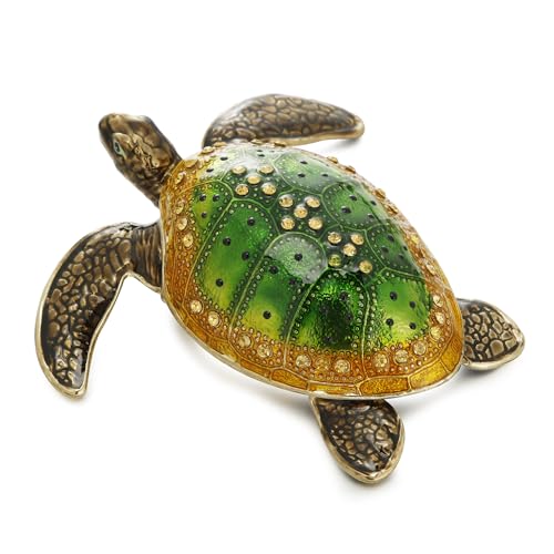 Turtle-1