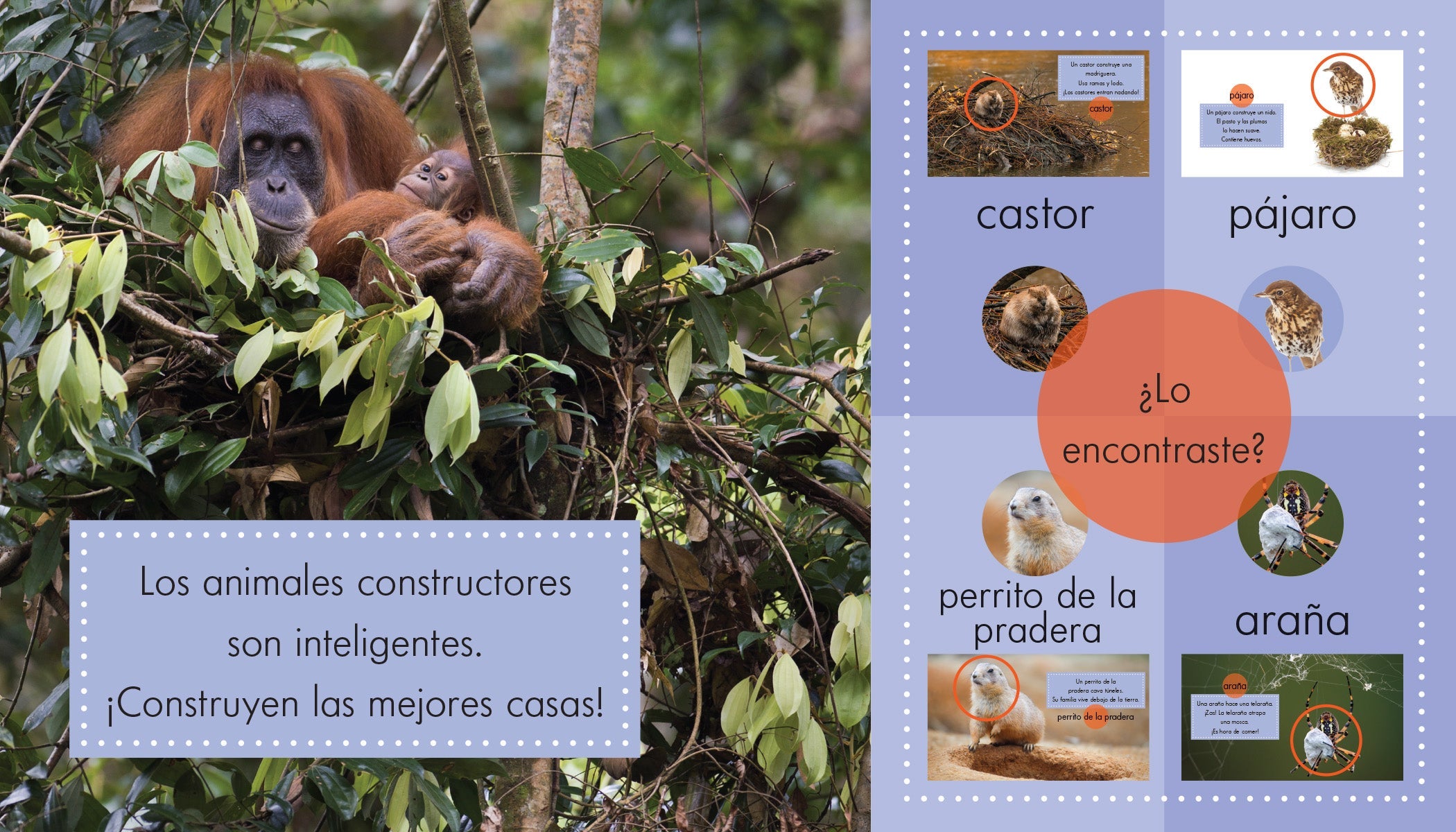 Animal Builders - Fun and Educational Construction Toy Set for Kids | Perfect for STEM Learning, Creative Play, and Birthday Gifts