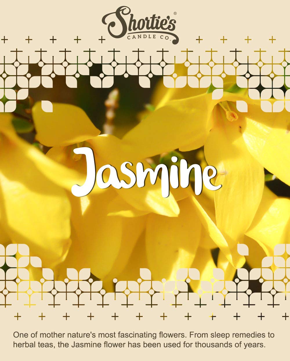 Pure Jasmine Soy Votive Candles - Essential Oil Scented, Natural Wax - 6 Pack Yellow Floral Candles for Home Decor, Wedding Centerpieces & Aromatherapy Relaxation
