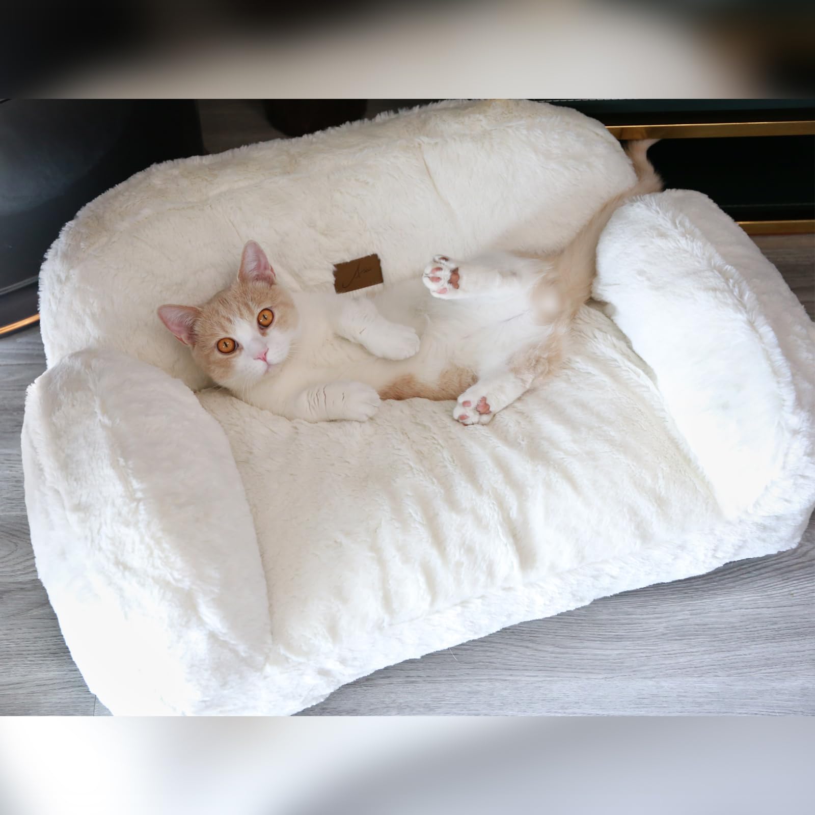 Premium Cat Couch Bed for Small Cats - Anti-Slip Kitty Sofa with Soft Plush - Cozy Pet Bed for Living Room, Bedroom & Home Decor