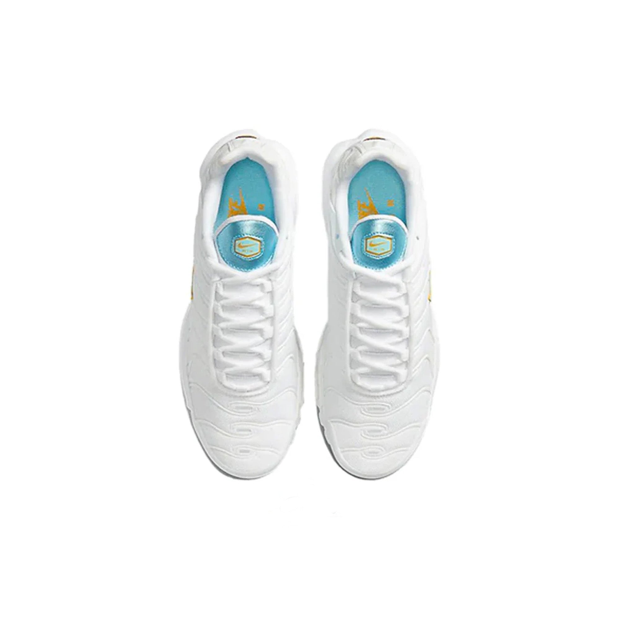 Nike Air Max TN Plus 'Glacier Blue' Running Shoes for Men - Lightweight Cushioned Sneakers for Jogging, Gym & Casual Wear