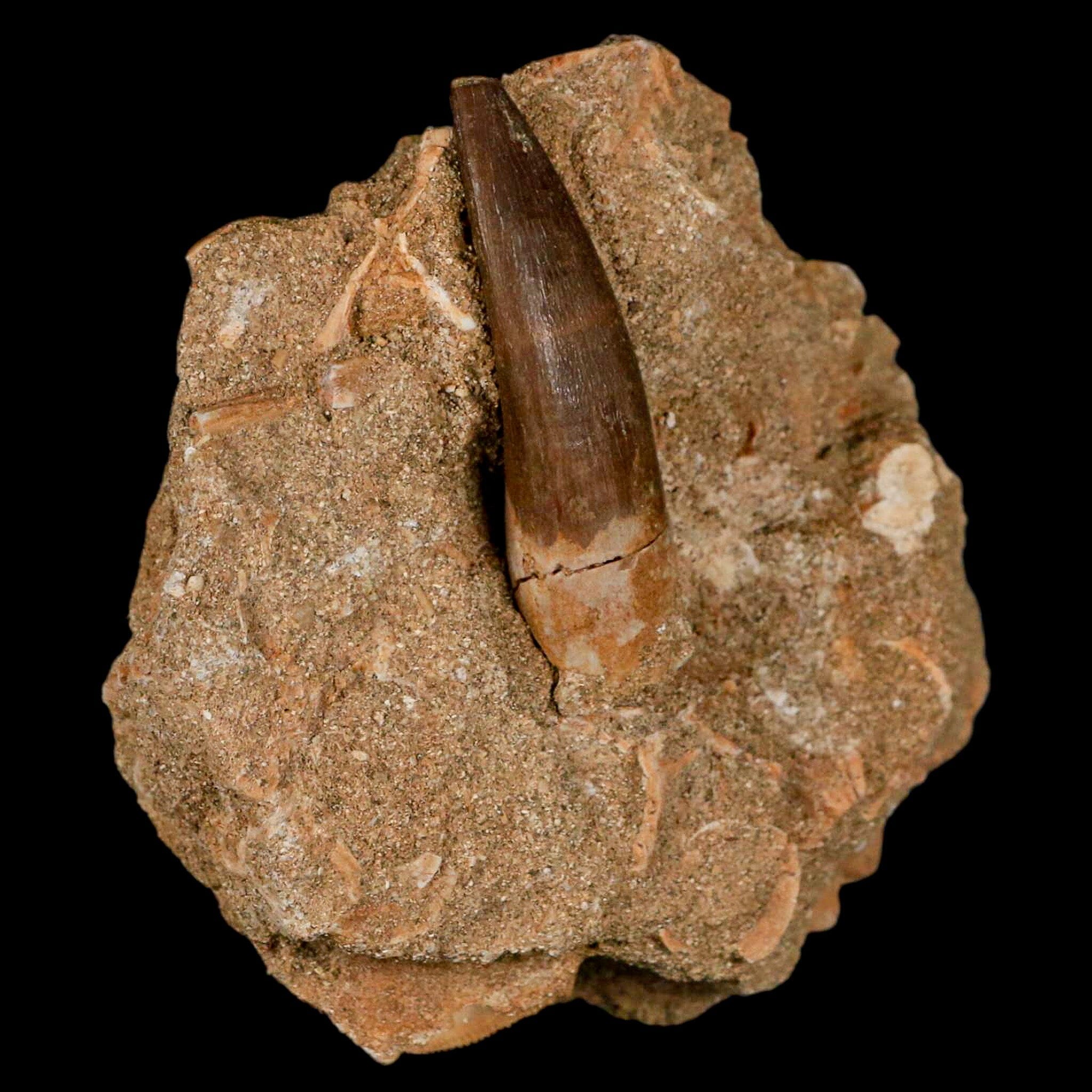 1.9