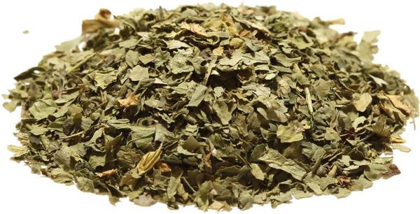 Fresh Organic Cilantro Leaves - Premium Culantro Herb for Cooking, Salsa & Guacamole - Perfect for Mexican, Asian & Mediterranean Cuisine