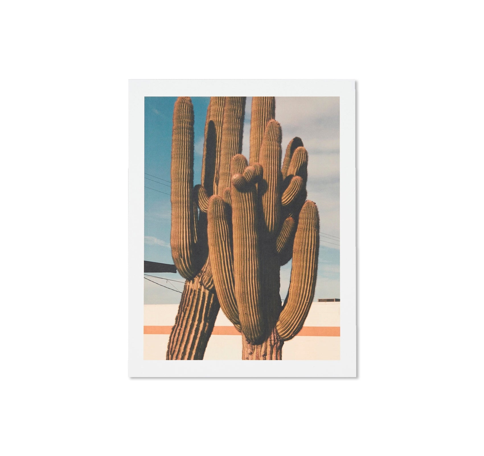 NO WATER by Romain Laprade - Special Edition Art Book | Photography Collection | Home Decor & Coffee Table Book for Art Lovers