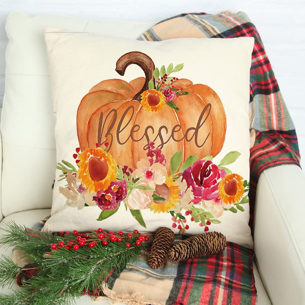 18x18 Inch Pumpkin Throw Pillow Cover - Autumn Thanksgiving Farmhouse Decor, Harvest Cushion Case for Sofa, Couch & Seasonal Home Decoration | Perfect for Fall Living Room, Porch & Cozy Farmhouse Style