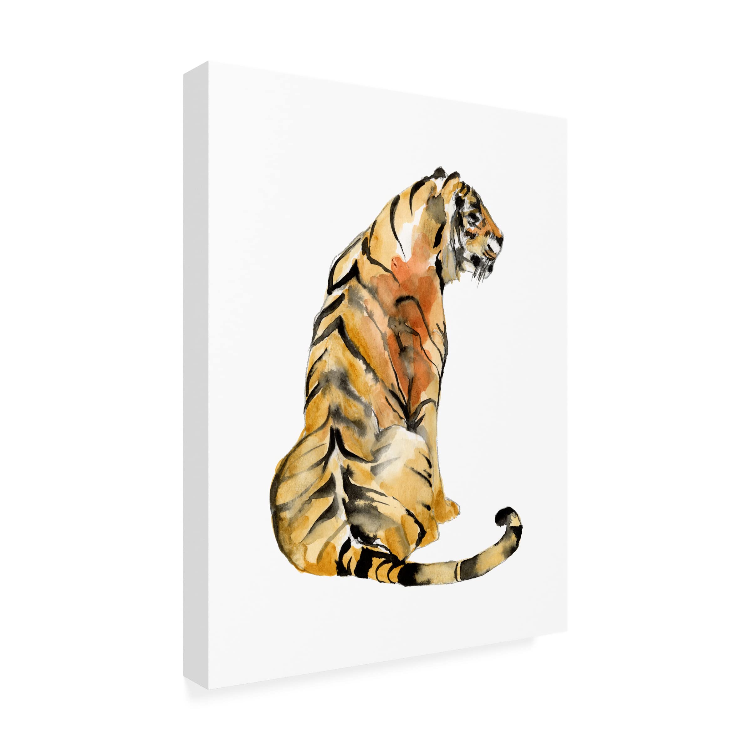 Jennifer Goldberger 'Sitting Tiger I' Canvas Wall Art Print - Modern Wildlife Home Decor for Living Room, Bedroom & Office