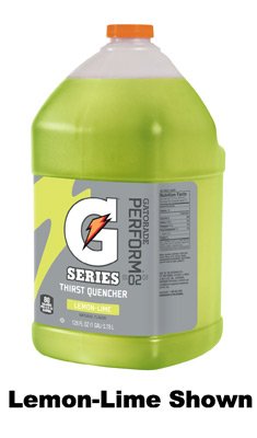 Gatorade 1 Gallon Liquid Concentrate Fruit Punch Electrolyte Sports Drink Mix - Hydration for Athletes, Workouts & Outdoor Activities - Yields 6 Gallons - Perfect for Sports, Gym & Post-Workout Recovery