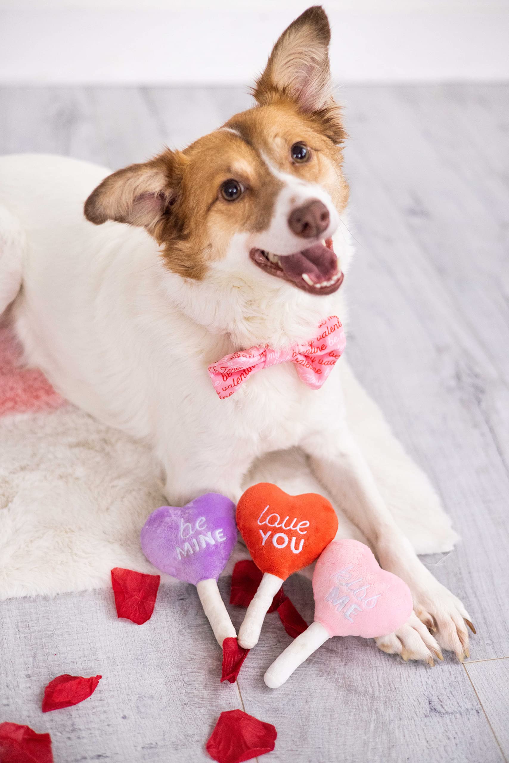 **Pearhead Valentine's Day Plush Dog Toys – 3-Pack Squeaky Holiday Pet Toys for Small & Medium Dogs | Cute Candy Heart Design, Perfect Gift for Pet Owners | Great for Playtime, Training & Special Occasions**