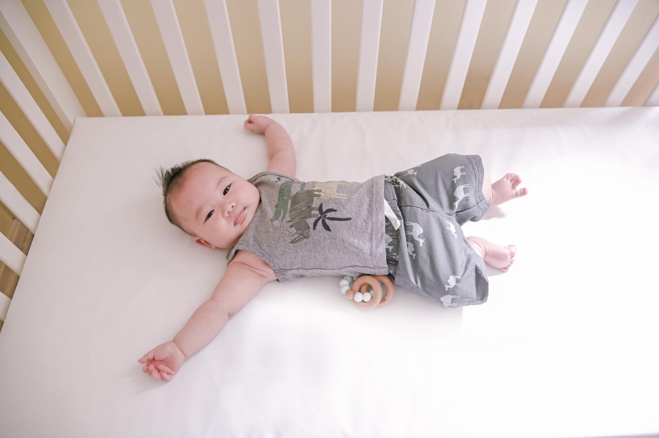 Lullaby Earth Baby Crib Mattress - Lightweight Waterproof Infant & Toddler Mattress for Cribs - Non-Toxic Hypoallergenic 52