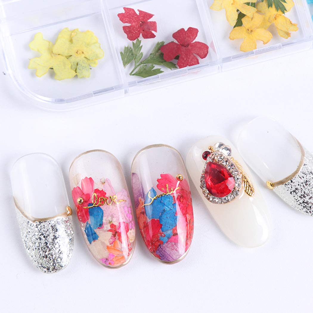 SOWUNO 12-Grid Dried Flower Nail Art Kit - Creative Nail Decoration with Assorted Dried Flowers for DIY Nail Designs - Perfect for Home, Salon & Party Nail Art