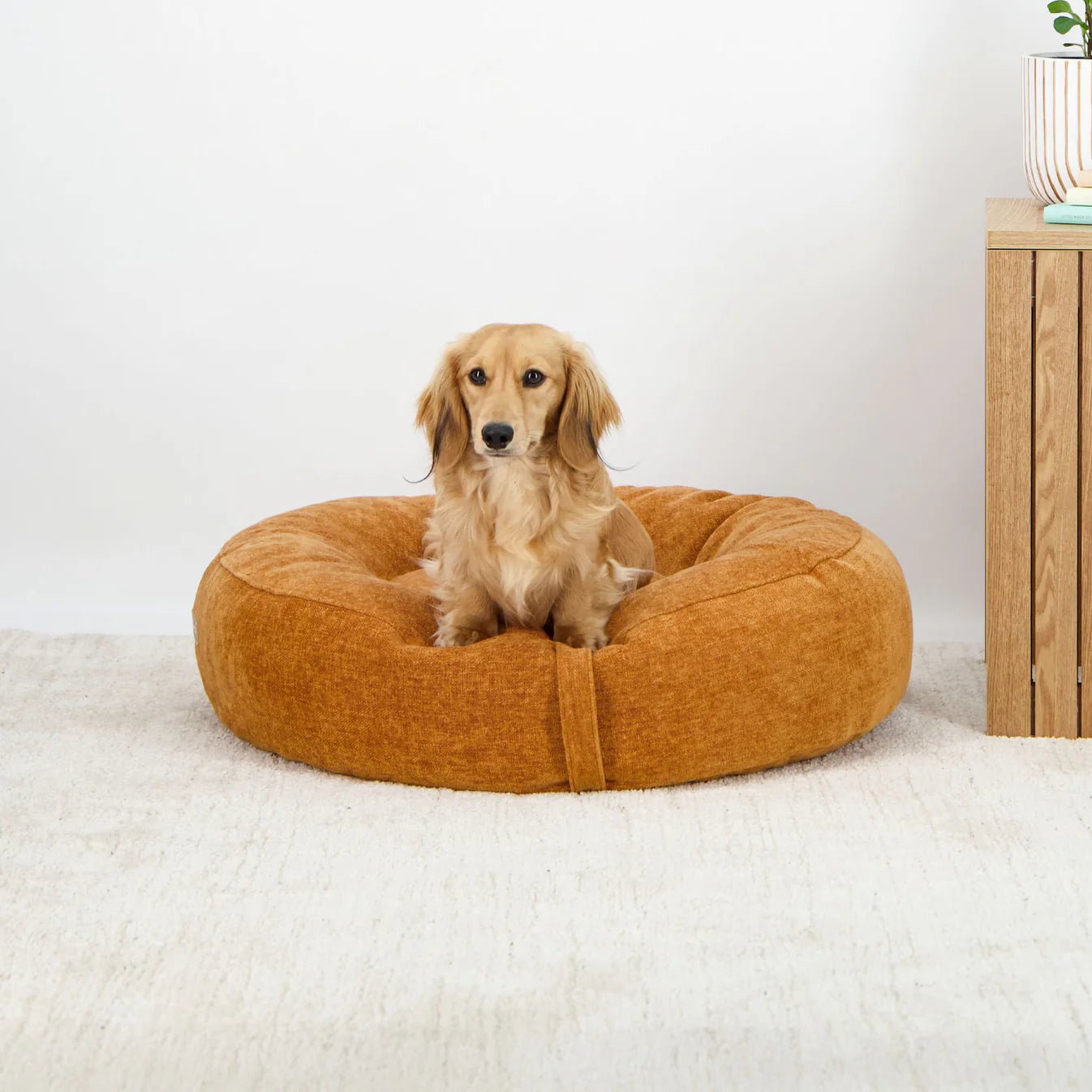 Premium Orthopedic Dog Bed - Dream Cloud Memory Foam Pet Bed for Large & Small Dogs - Marigold Color - Ideal for Home, Crate & Travel Use
