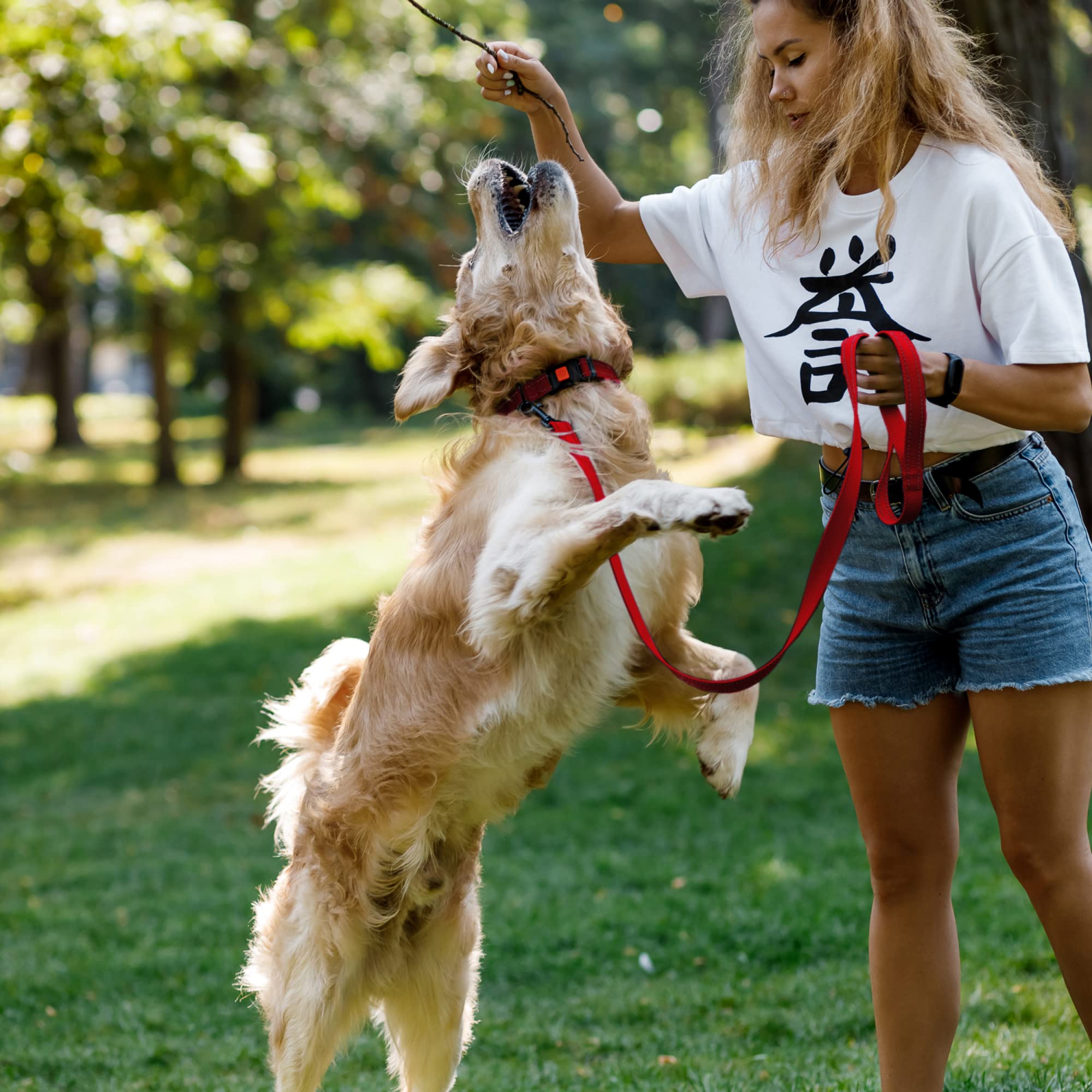 **CollarDirect 5ft Heavy Duty Reflective Nylon Dog Leash - Durable Pet Leash for Small, Medium & Large Dogs - Perfect for Walking, Running & Training (Red, Small) - Ideal for Outdoor Adventures & Nighttime Safety**