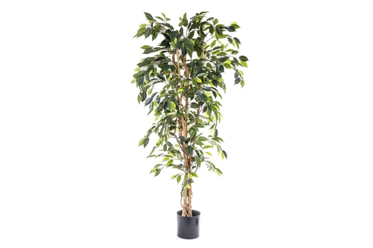 Premium 6FT Artificial Ficus Tree - Realistic Fake Indoor Plant for Home Office Decor, Living Room, Bedroom & Commercial Spaces