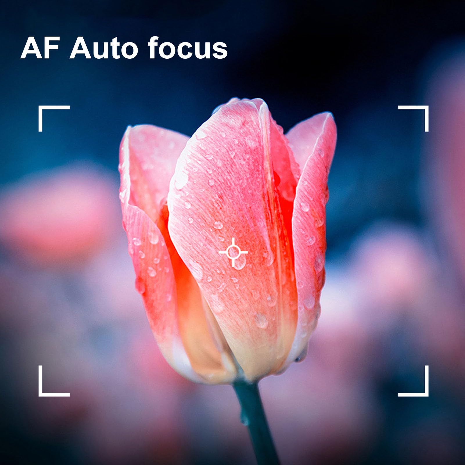 4K 48MP Digital Camera with 16X Optical Zoom - 2.8