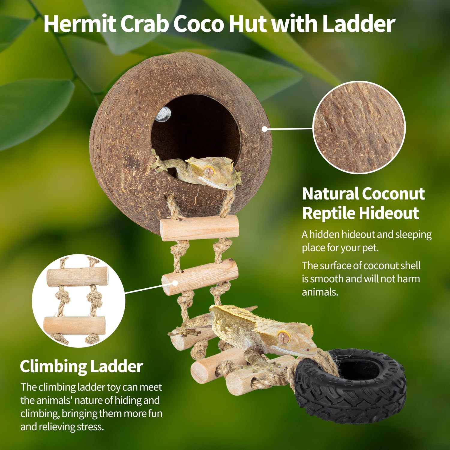 REPTIZOO Hermit Crab Coconut Shell Hideout - Natural Reptile Hide Cave with Ladder for Leopard Gecko, Crested Gecko, Lizards | Terrarium Decor with Suction Cup | Ideal for Climbing, Resting & Habitat Enrichment