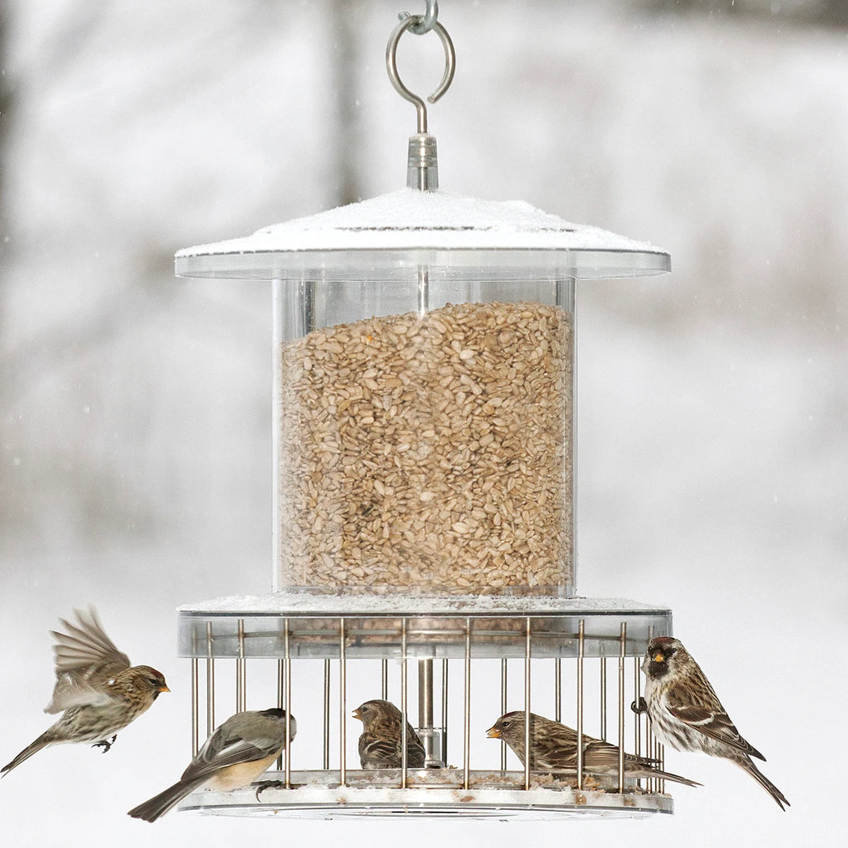 All Weather Bird Feeder with Wire Cage - Durable Outdoor Squirrel Proof Bird Feeder for Year-Round Bird Watching in Garden, Patio or Backyard