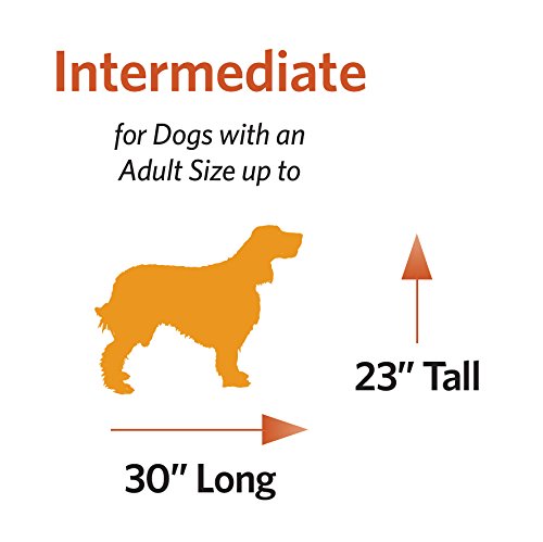 MidWest Homes for Pets Ultima Pro Series 36 Inch Heavy Duty Dog Crate - Double Door Foldable Metal Dog Kennel with Divider Panel, Roller Feet & Leak-Proof Tray - Perfect for Large Breed Dogs, Travel & Home Training