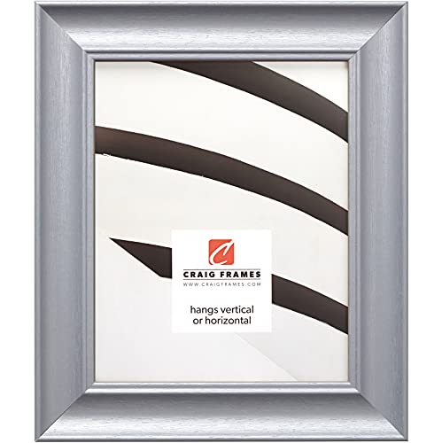22605018 Brushed Silver