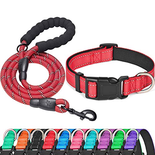 Red Collar+Leash