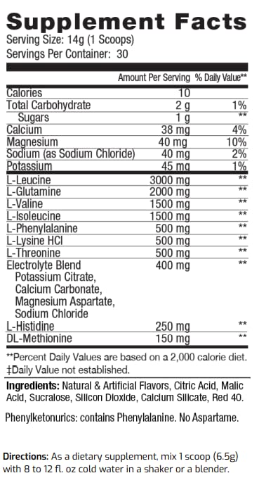 Premium Amino Powder for Workout Recovery - BCAA 2:1:1 Ratio with Electrolytes, Essential Amino Acids, Great-Tasting Fruit Punch Slushie Flavor - Lab Tested & Certified (30 Servings) - Ideal for Pre/Post Workout, Muscle Recovery & Hydration