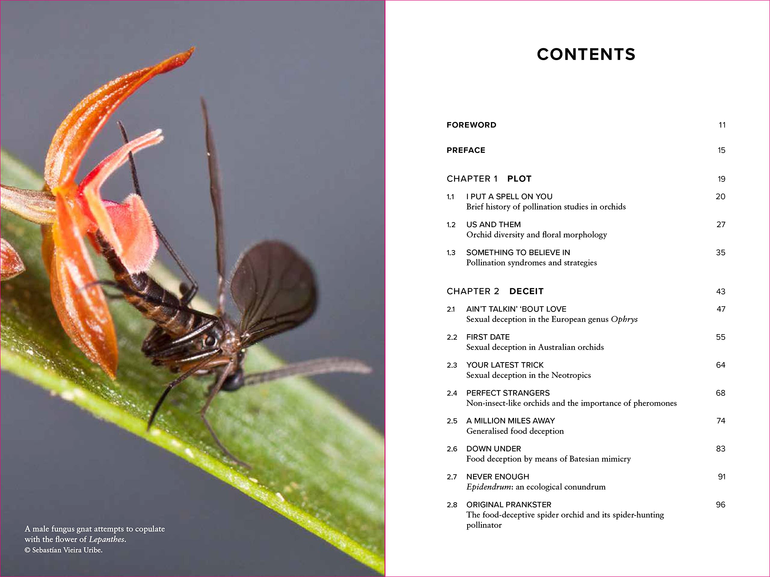 Orchid Pollination Explained: Secrets of Nature's Intriguing Reproduction Process | Perfect for Botany Enthusiasts & Science Educators