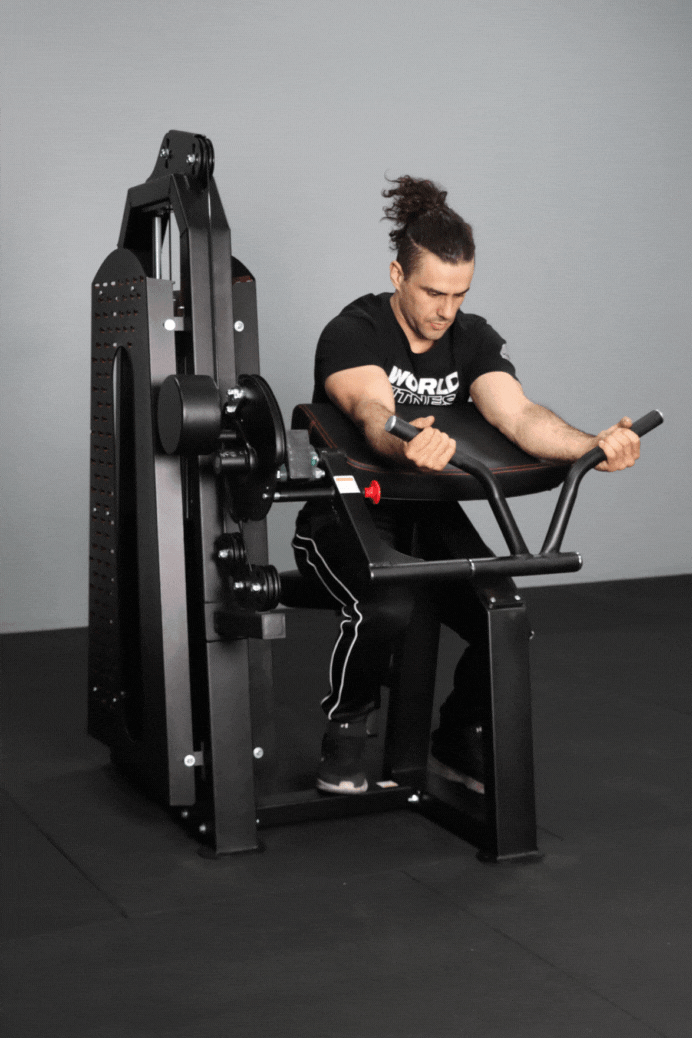 Commercial Body Iron Bicep & Tricep Curl Extension - Heavy Duty Gym Equipment for Home & Commercial Workouts