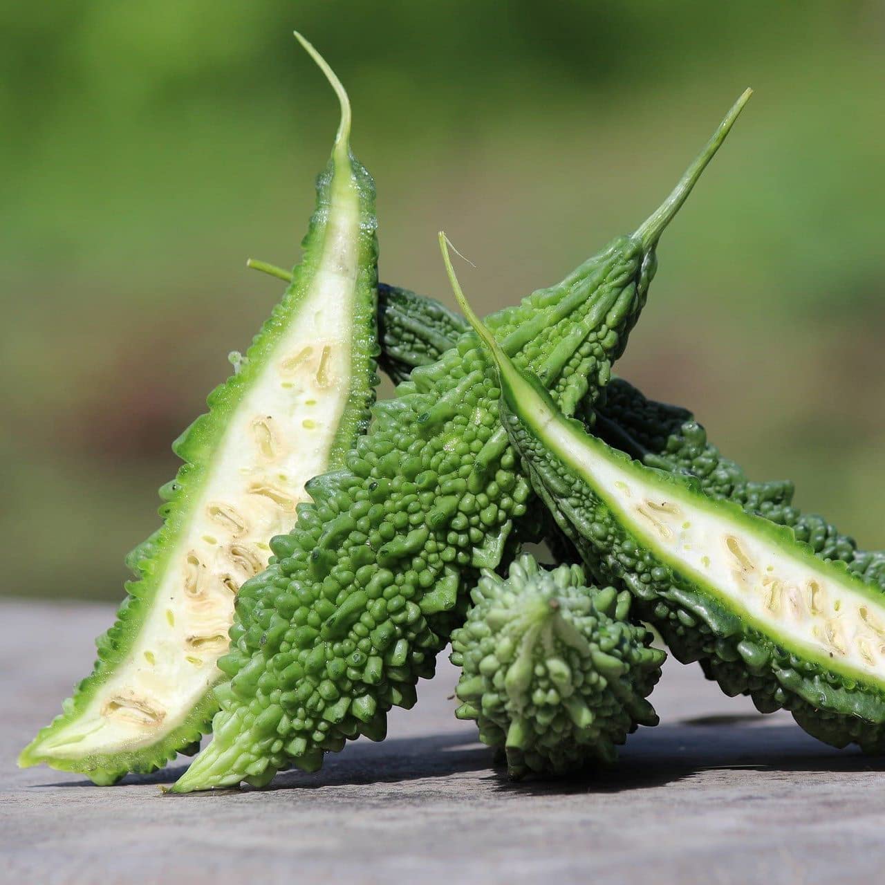 Bitter Melon Gourd 10 Seeds - Japanese Long Asian Vegetable for Home Gardening | Harvest Young at 10-13 Inches | Perfect for Stir-fries, Soups, and Healthy Asian Cuisine