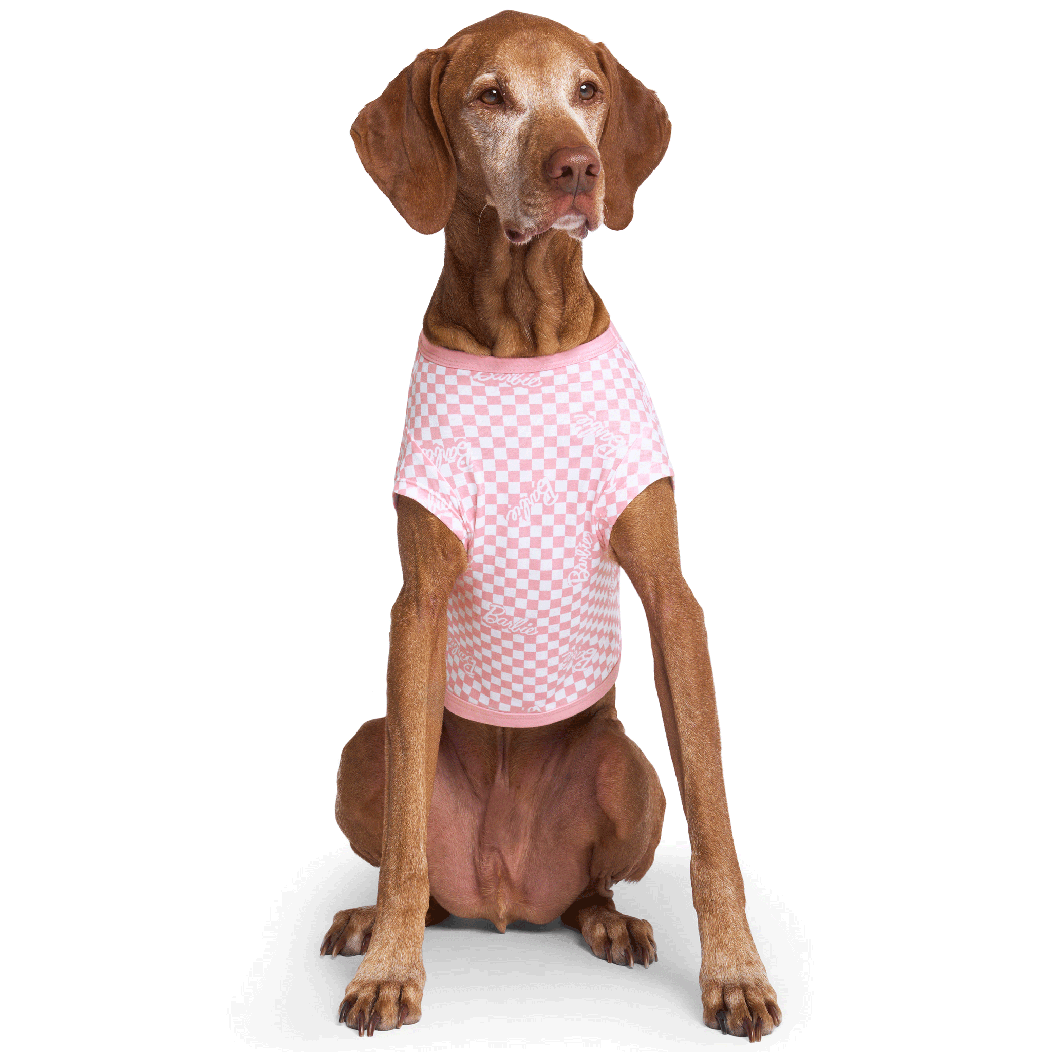 Barbie Follow Me Tee - Stylish Graphic T-Shirt for Women & Girls - Perfect for Casual Wear, Parties & Everyday Fashion