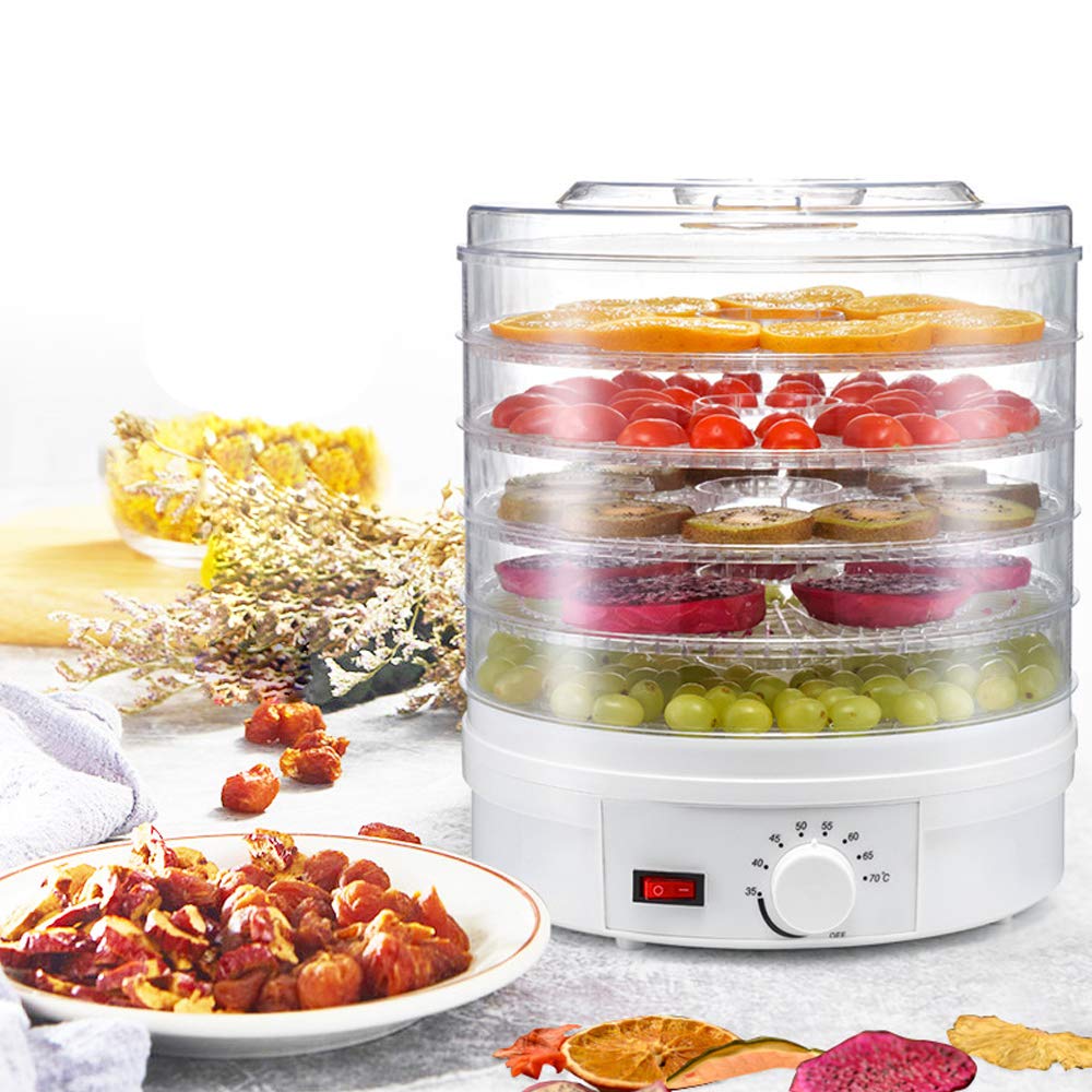 110V AnEssOil Food Dehydrator - Stainless Steel Electric Drying Machine for Fruits, Vegetables, Herbs & Meat | Healthy Snacks Maker for Home, Camping & Food Preservation