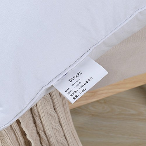 Premium White Goose Down Firm Pillow - 700 Fill Power, 38.8 oz, Size 18.9