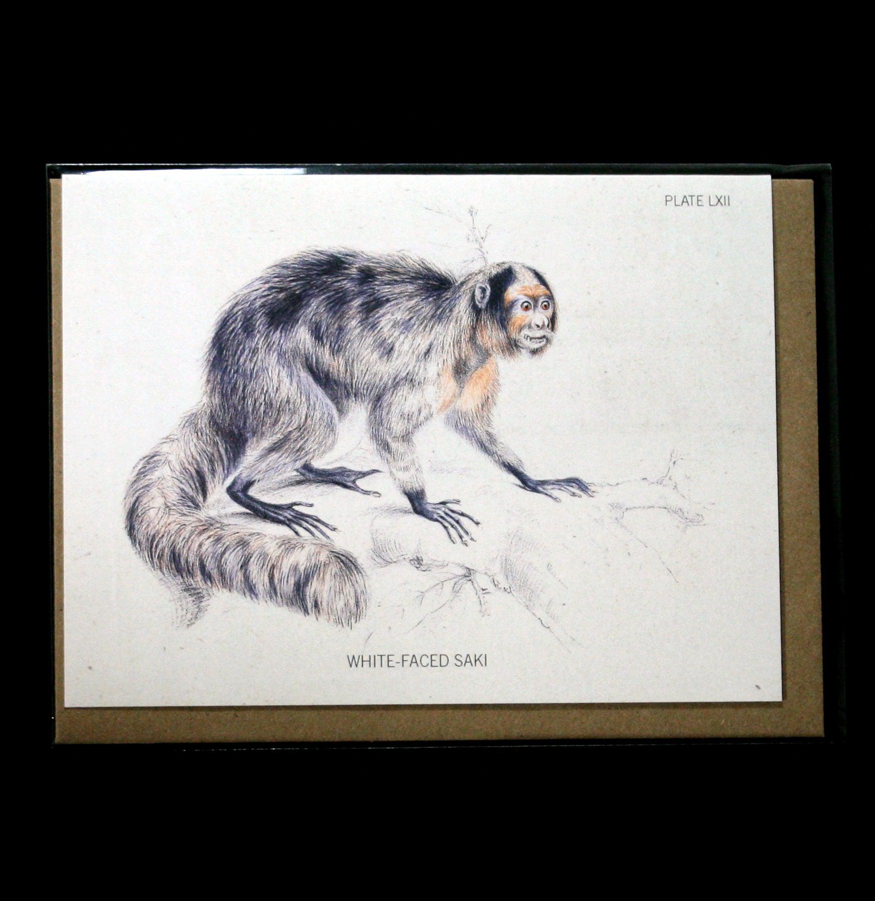 Funny Saki Monkey Greeting Card - Unique Animal Specimen Design for Birthday, Thank You & Special Occasions - Perfect for Animal Lovers & Humor Gifts