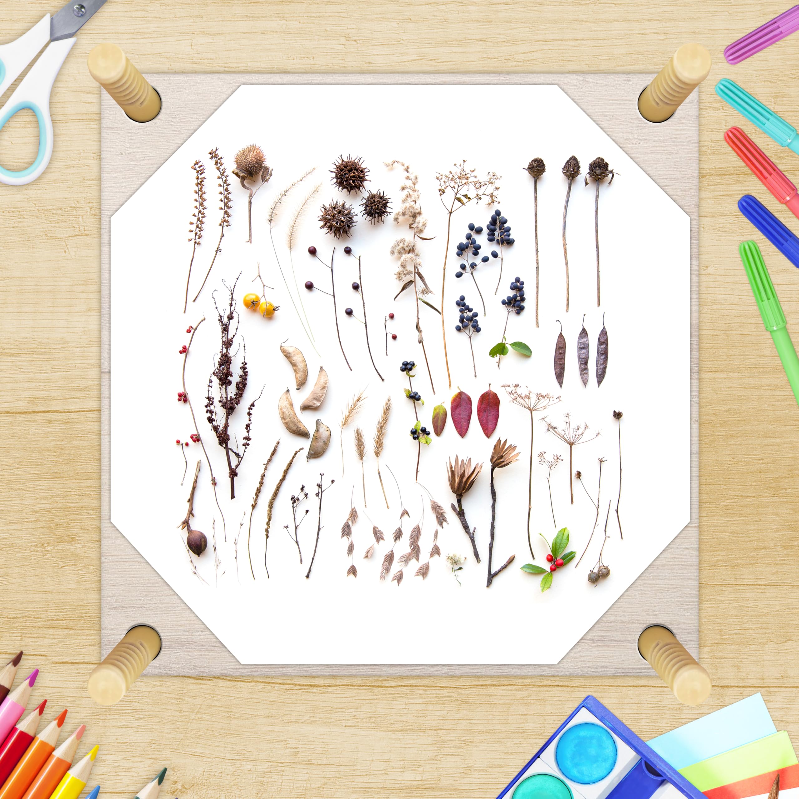 ECOHOME Flower Press Kit for Kids - Complete DIY Pressed Flower Art Set with Clear Instructions - Perfect for Children's Crafts, Nature Projects & Unique Gifts - Great for Classroom Activities, Birthday Presents & Creative Play