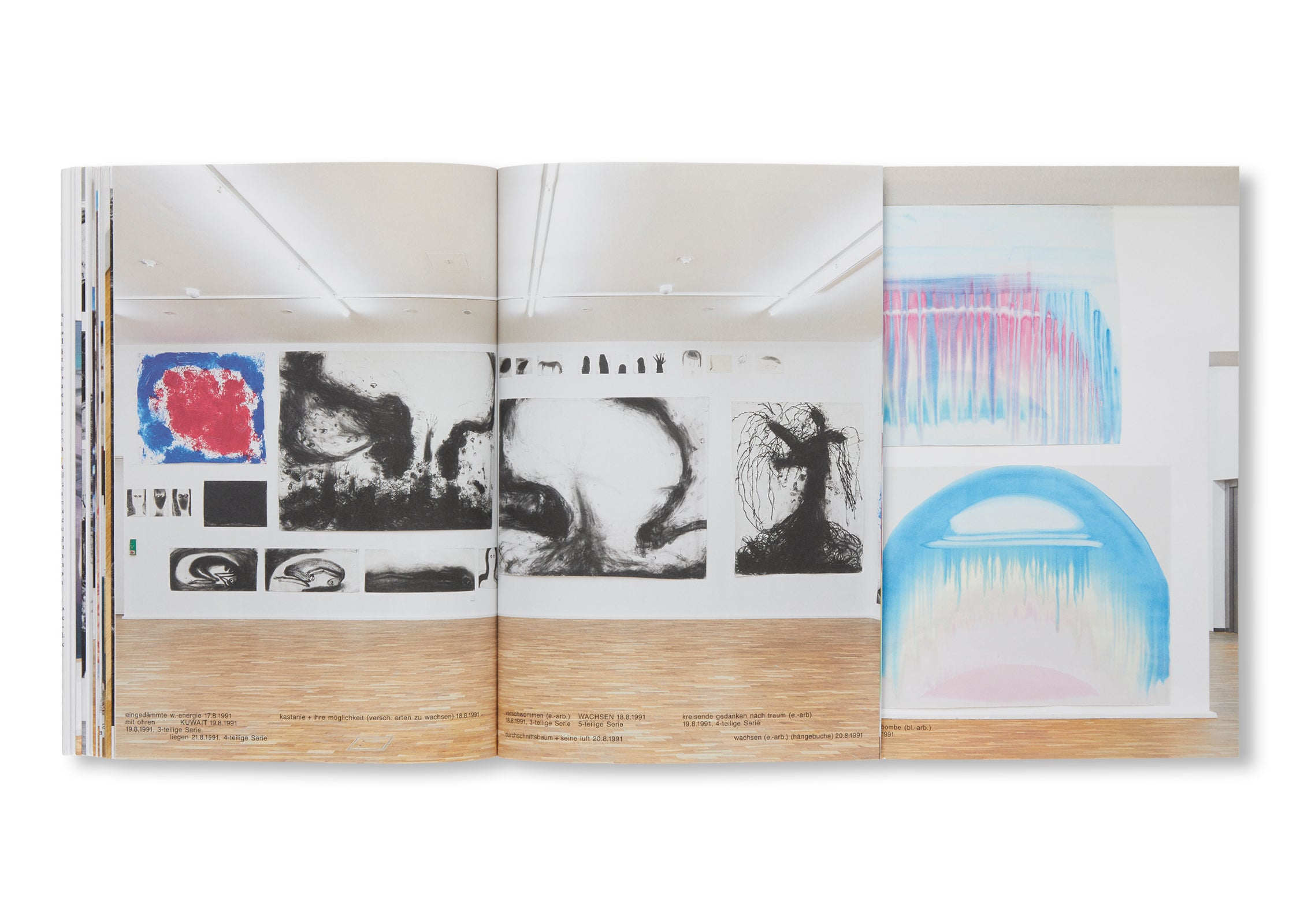 MEINEJUDEN by Miriam Cahn - Contemporary Art Book Collection | Jewish Art & Culture Exploration | Perfect for Art Lovers, Collectors & History Enthusiasts