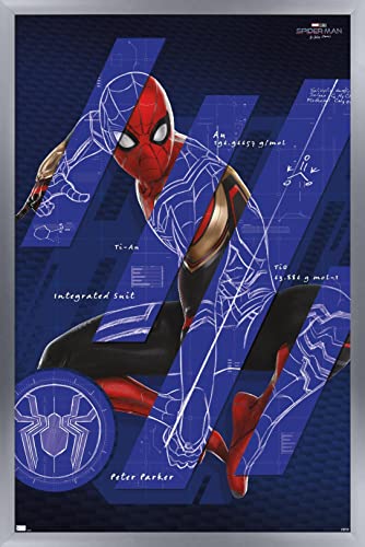 Silver Framed Version