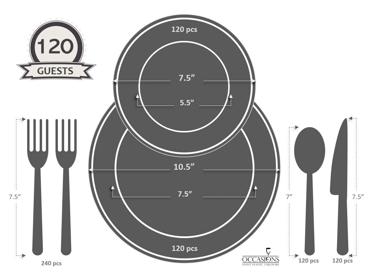 720-Piece Wedding Disposable Plastic Plate & Silverware Set (120 Guests) - 10.5