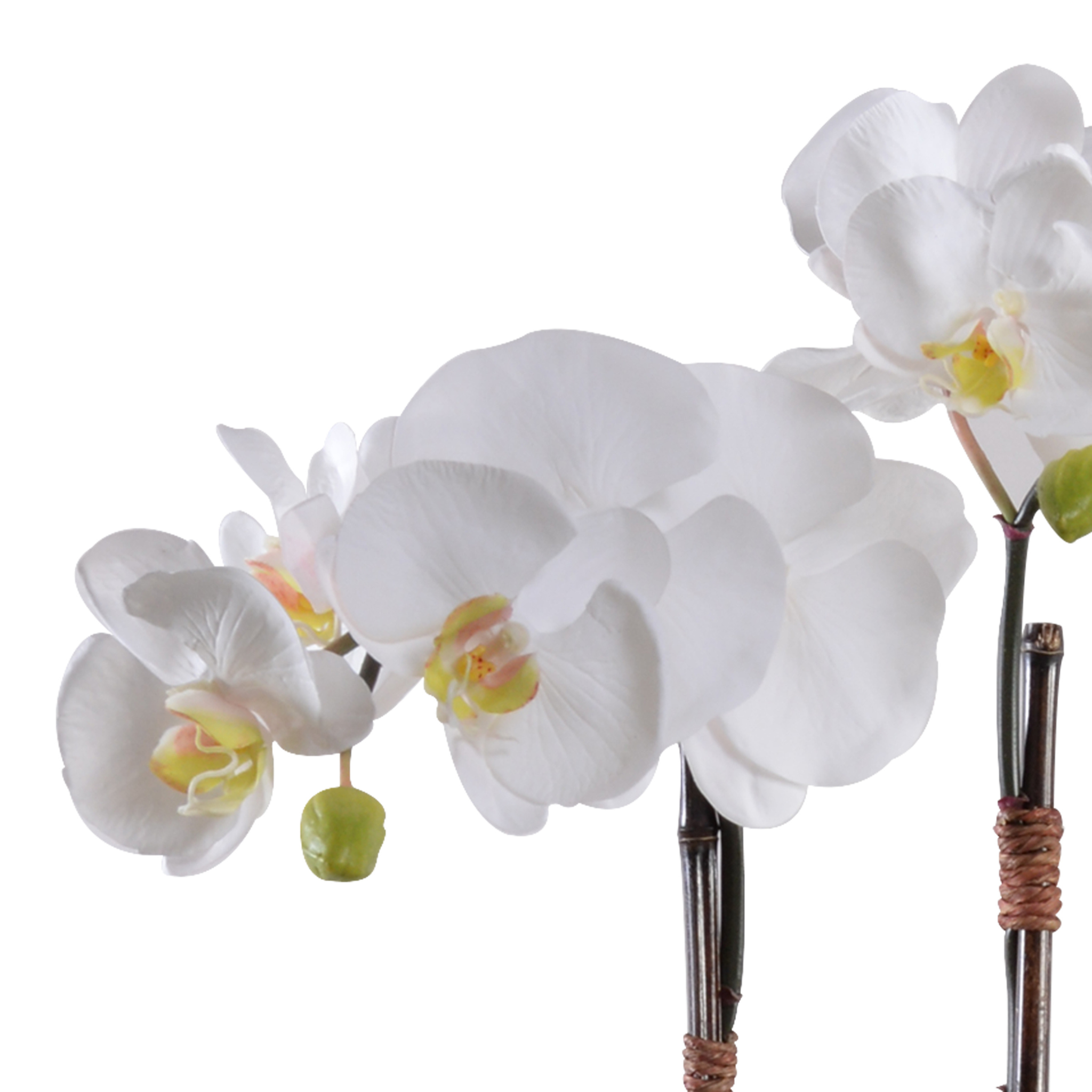2 Pack Artificial White Phalaenopsis Orchid Flowers in Terracotta Pot - Perfect for Home Decor, Wedding Centerpieces, and Office Desk Decorations